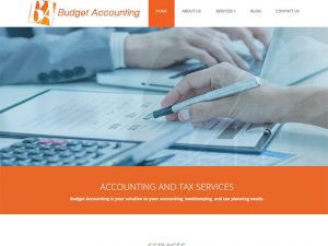 Budget Accounting Ltd.